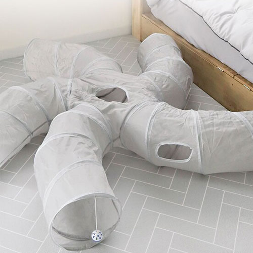 딩동펫 5중입구 터널하우스이미지입니다. 누르면 해당 게시물로 새창이동합니다.