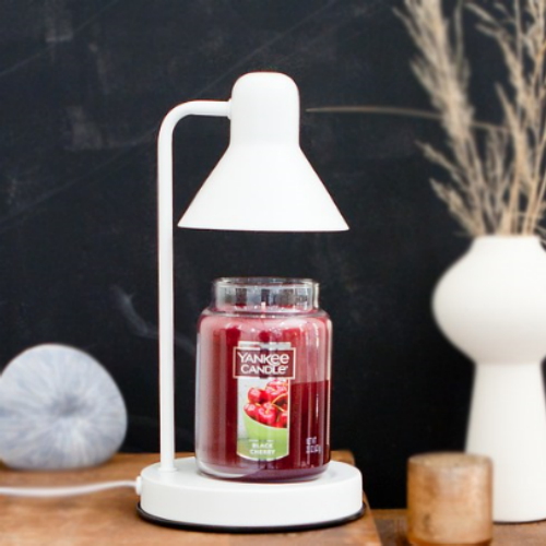 ������ ������ ��Űĵ�� ������ 623g + ��� ĵ�����