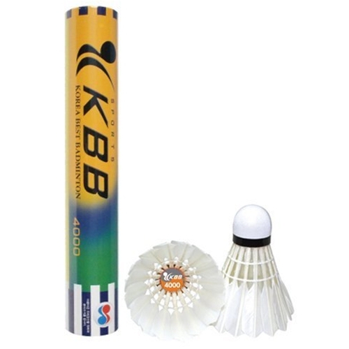 KBB 4000 (1캔(12개입))