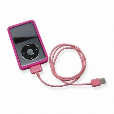 넷포드 iPod/iPhone 전용 케이블 iCable_이미지