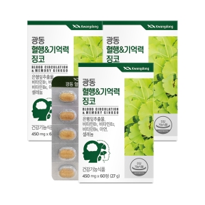 광동생활건강 광동 혈행 앤 기억력 징코 450mg 60정 (3개)_이미지