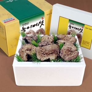 참자연영농조합 강원도 자연산 능이버섯 500g