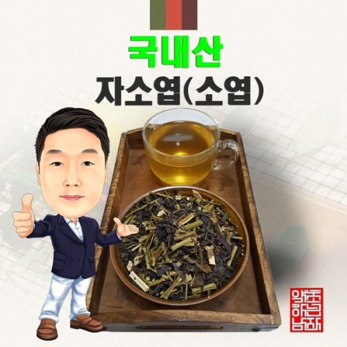 국내산 자소엽 소엽   경북 영천  국산_이미지