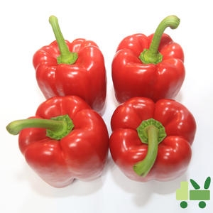 사라상회 비품 빨강 파프리카 10kg (1개)_이미지