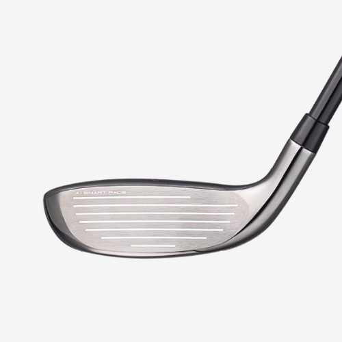 Ķ������ �з����� Ai ����ũ �ƽ� �н�Ʈ ���̺긮��