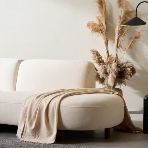 ����Ʈ ���谡�� ��ī�ٹ̾� ī��ġ�� �к긯 ���� 3�ο�