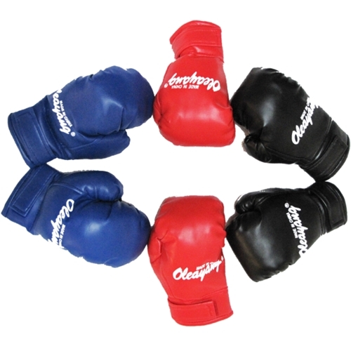 어린이 권투 글러브