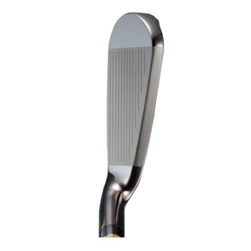 ����� ������Ƽ 2023 �ξ� ���̾� ī��