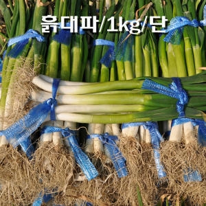 꼬레촌조미 파 흙대파  최상품  x 1단