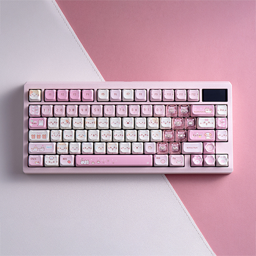 SPM Soulcat ���Է� PBT �����ȭ ���� Űĸ 169Ű �б� ������ �̸���