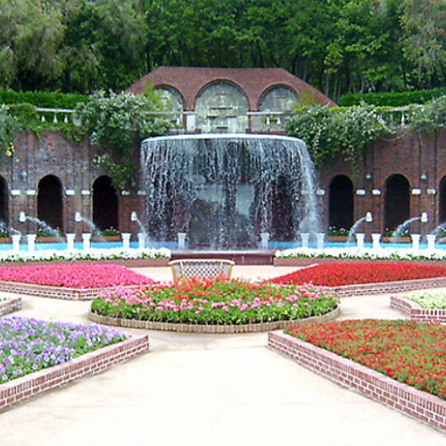 ��ǰ �� �̹���