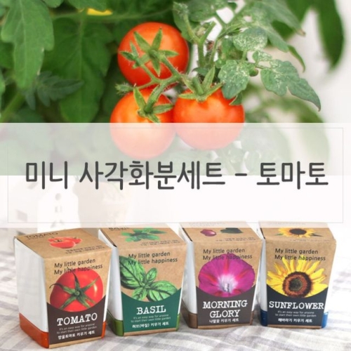 �ڸ𰡵� ���׸���ȭ�� �̴� �簢ȭ�� ��� ��Ʈ ����丶�� ��