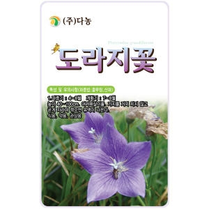 도라지꽃씨앗 3g