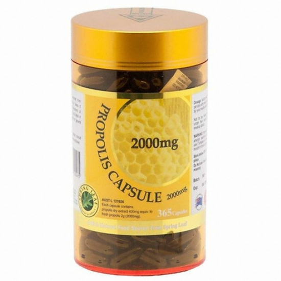 스프링리프 프로폴리스 365캡슐 (해외) (3개)