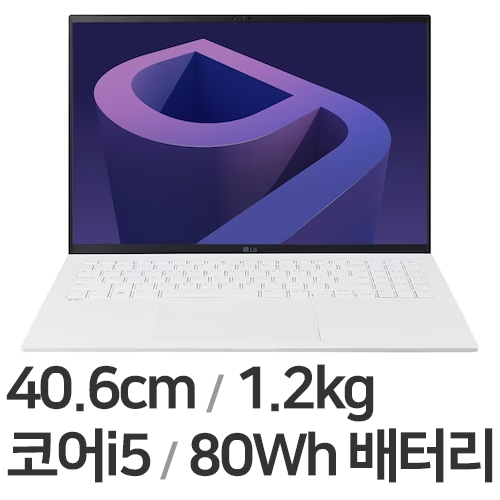 LG전자 2022 그램16(12세대) 16ZD95Q-GX56K (SSD 256GB)_이미지