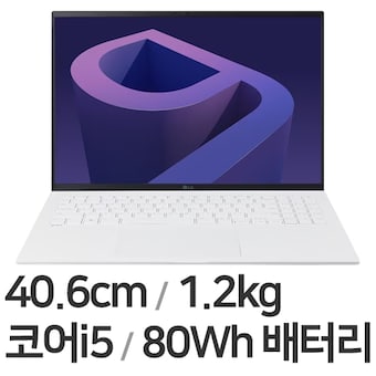 LG전자 2022 그램16(12세대) 16ZD95Q-GX56K
