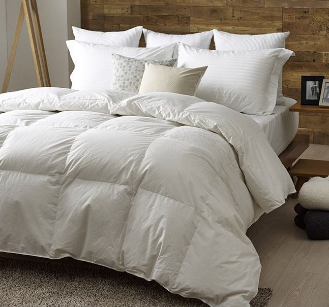 ��ȫ��Ȩ�м� Ŭ���� �����ٿ� �̺Ҽ� 800g