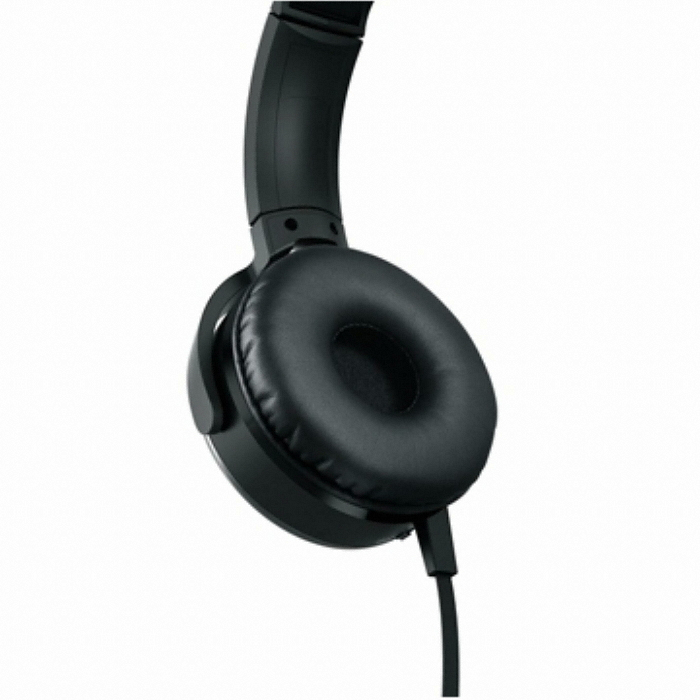 SONY MDR-XB450BV (정품)_이미지