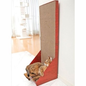 가리가리 월 플러스 스크래쳐_이미지