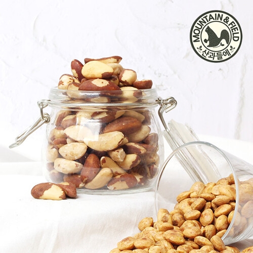 산과들에 브라질너트 500g (1개)