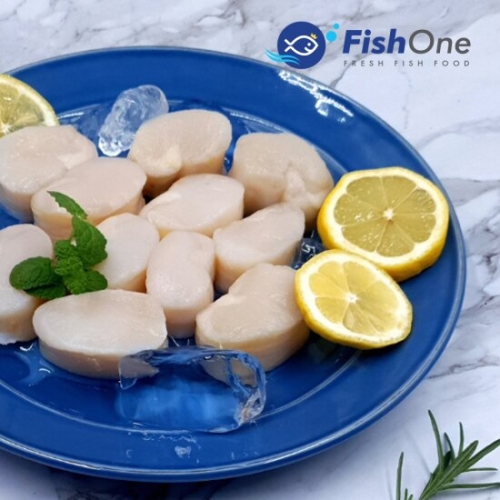 피시원 국내산 키조개관자 중 350g 9-12미 냉동