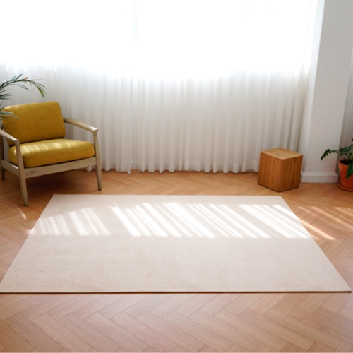 원진산업 인룸 플레인소프트 러그 카페트 (250x200cm)