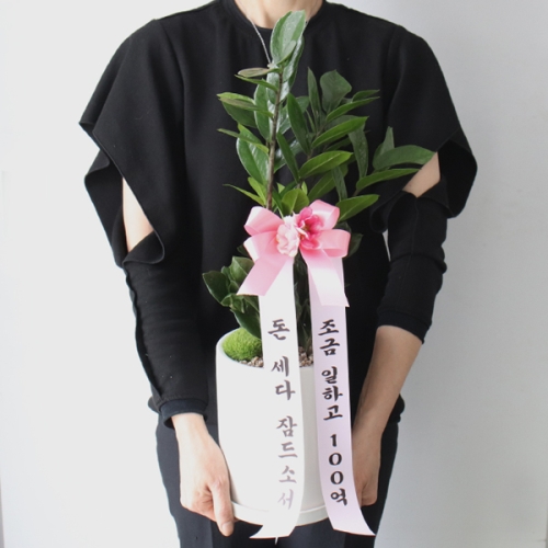 금전수 개업선물+100억 축하리본