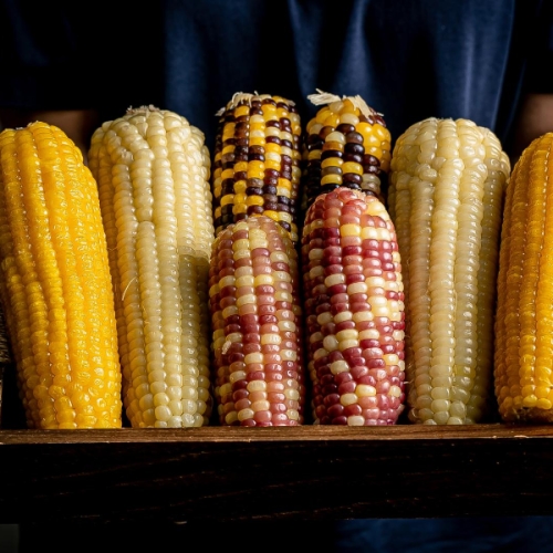 �õ� ȫ��������