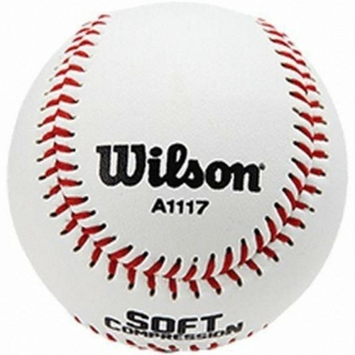 ���� �����߱��� A1117