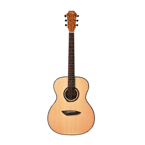 고퍼우드 G110