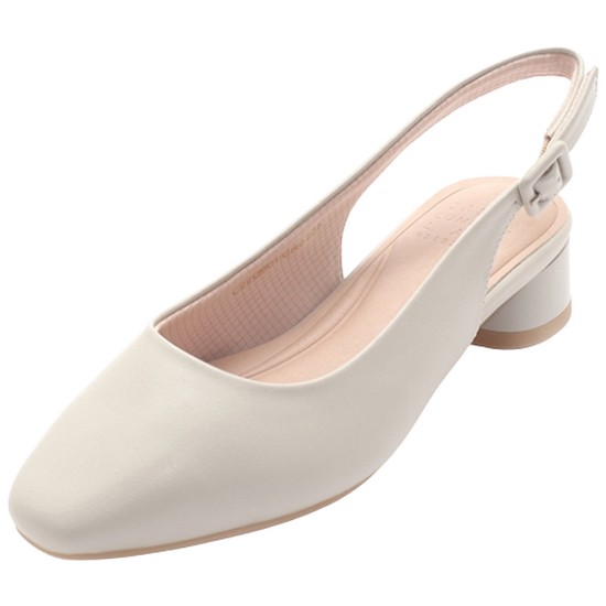 ���� ������ C22G601