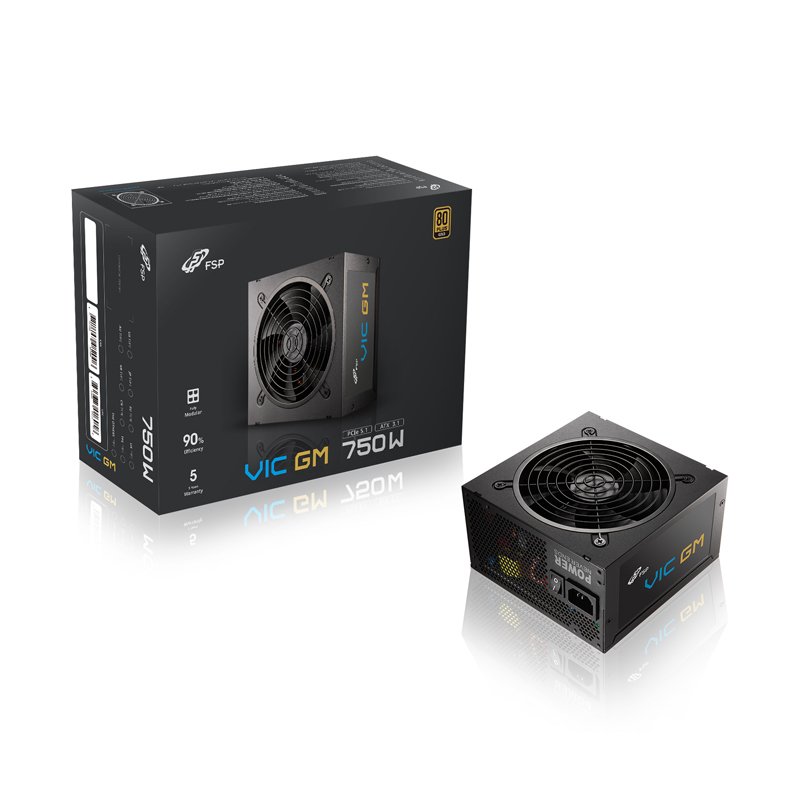 FSP VIC GM 750W 80PLUS골드 풀모듈러 ATX 3.1_이미지