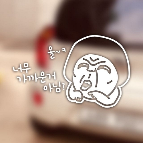 아도라하우스 초보운전 포인트 스티커 너무 가까운뎅