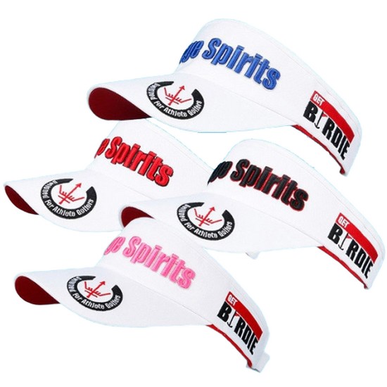 �������Ǹ��� �������� GS-6P500