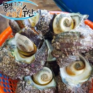 통영새벽수산 통영 자연산 뿔소라 1kg (6개)_이미지
