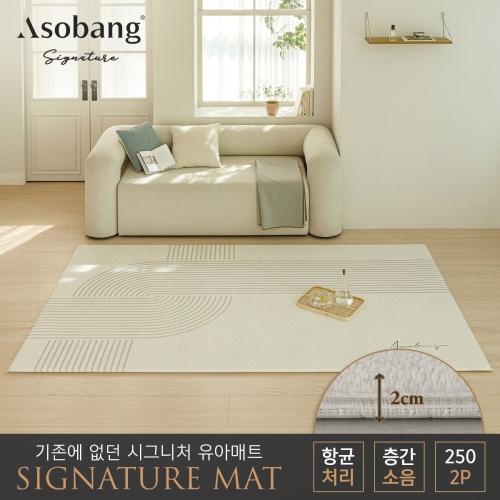 파크론 아소방 아소방 시그니처 놀이방매트 플로우 250x150x2cm (2개)