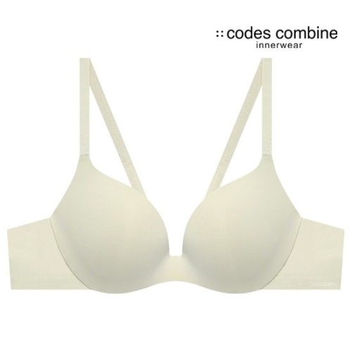 �ڵ����Ĺ����̳ʿ��� ��ü�� ���帲 ���_CDWBR344LB