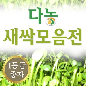 다농 새싹채소씨앗 모음전 -집에서 간편하게~키운 새싹으로 온가족이 웰빙식단을~_이미지