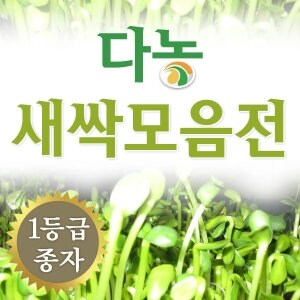 다농 새싹채소<b>씨앗</b> 모음전 -집에서 간편하게~키운 새싹으로 온가족이 웰빙식단을~