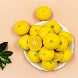 더조은푸드 더조은 달콤한 서귀포 감귤 로얄중품 10kg