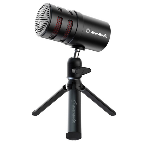 AVerMedia AM310G2 (정품)_이미지