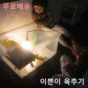 우성테크 이쁜이 육추기 메추리집.병아리집.병아리육추기