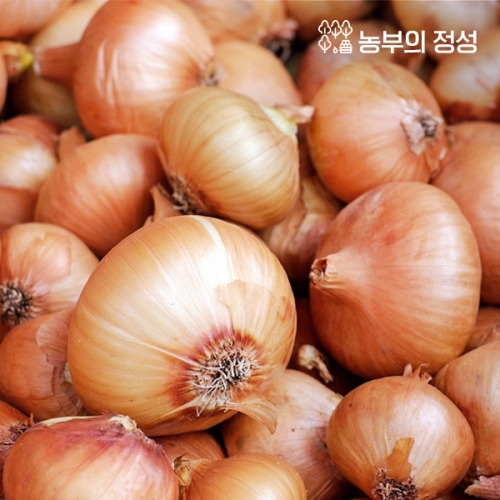 농부의정성 무안 양파 중대 10kg (1개)_이미지