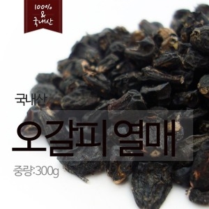  국내산 오가피열매 오갈피열매
