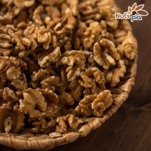 �����Ǿ� 24�� �� ȣ�� ���� 1/2�� 1kg