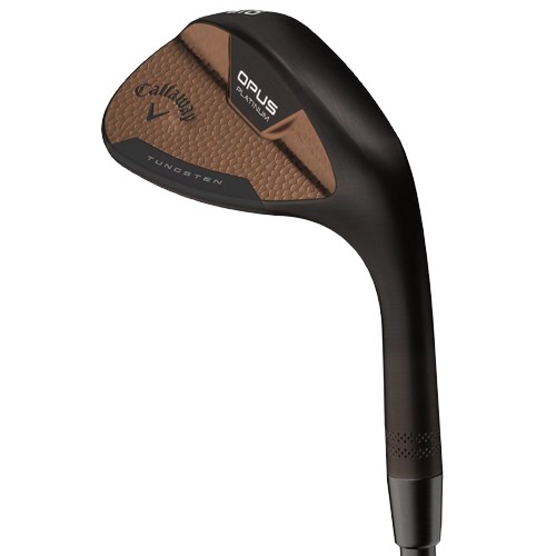 Ķ������ ���۽� �÷�Ƽ�� ũ�������� �÷��� �ظӵ� ī�� ����