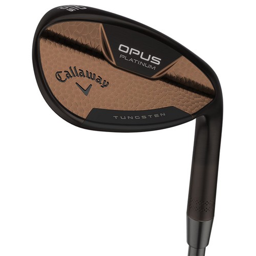 Ķ������ ���۽� �÷�Ƽ�� ũ�������� �÷��� �ظӵ� ī�� ����