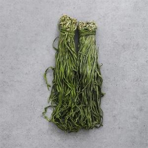 ����� �ڿ����� ���� ��ä���� 500g �ٱ���� ��ä Ȳä