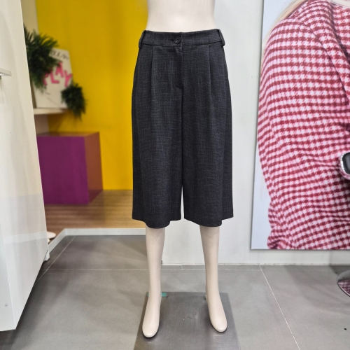 ������ ����� ����BAPT60461