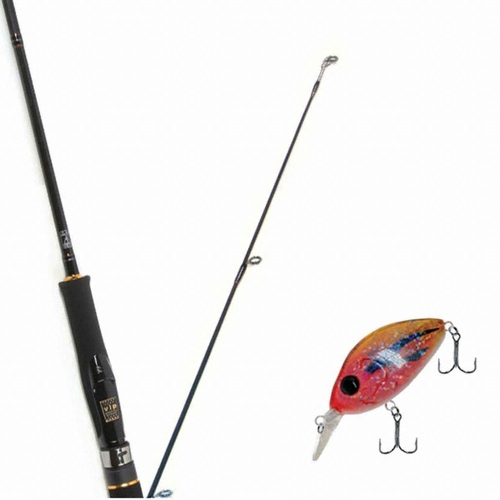 ���� �ƹ߷�+�ٹ̳� ��-100 ��Ʈ